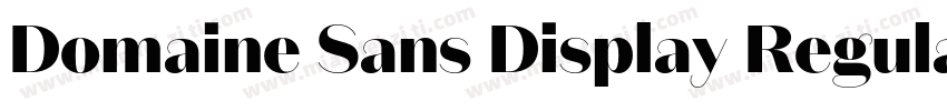 Domaine Sans Display Regula字体转换